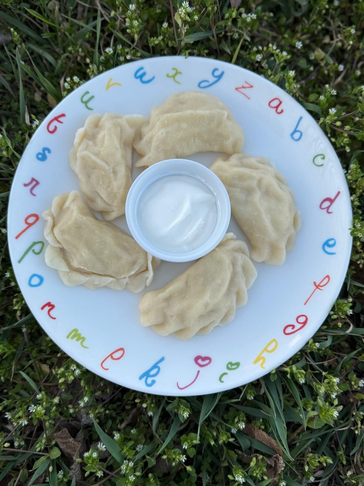 Pierogi babci Krysi