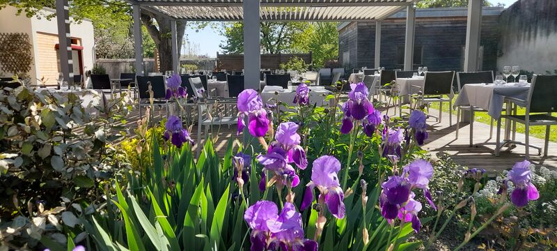 Terrasse fleurie