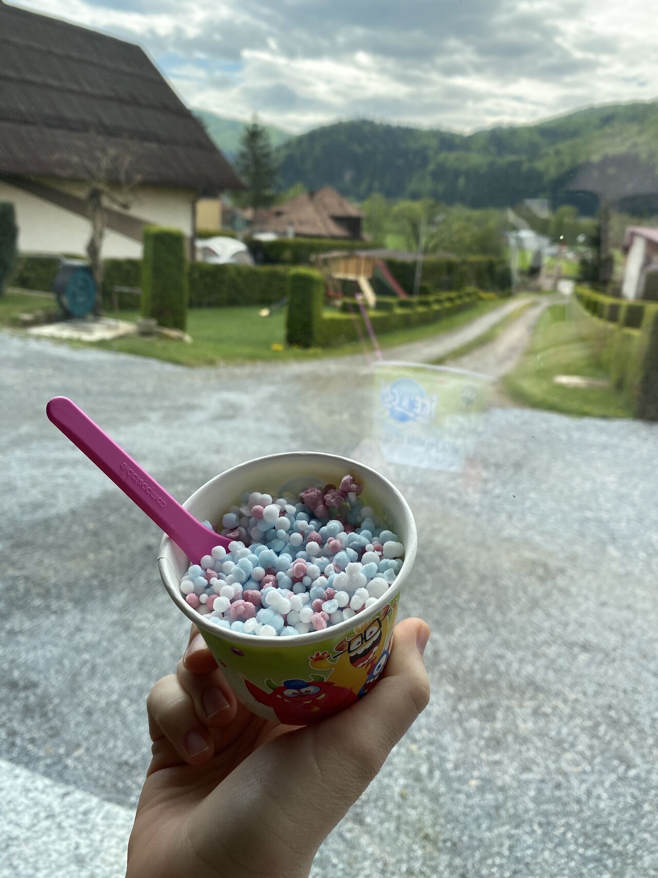 Fructe de padure