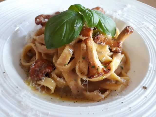 auch ein Herbstgericht, hausgemachte Tagliatelle mit Pfifferlingen und Peccorino-Käse