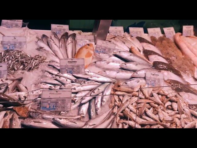 Étal poissonnerie Andraud