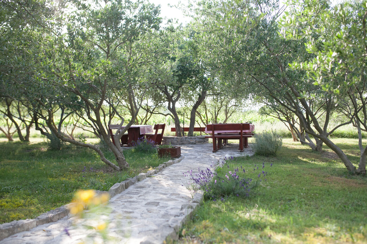 If you want some privacy then choose table in Olive terrace - Konoba Maslina Pridraga