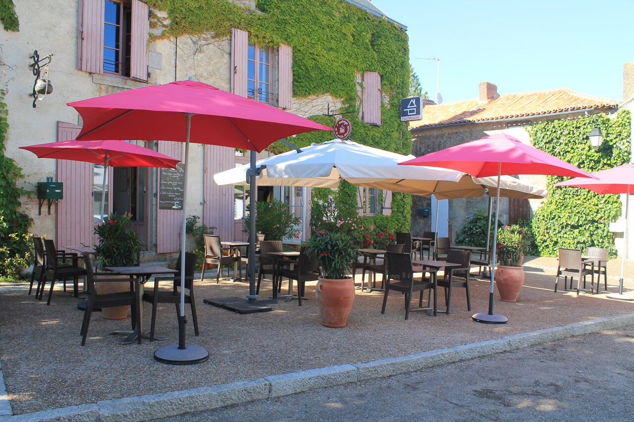 Des fleurs , de l'ombre , du calme 