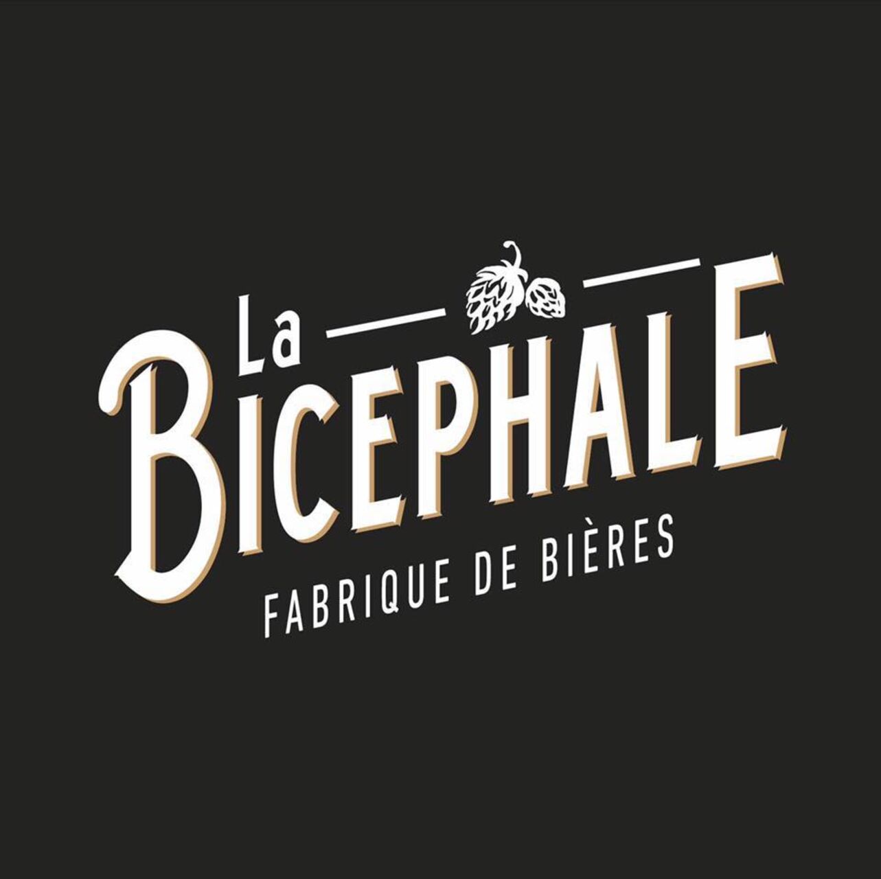 Soirée concert et tartes flambées à la brasserie La BICEPHALE à BLOTZHEIM