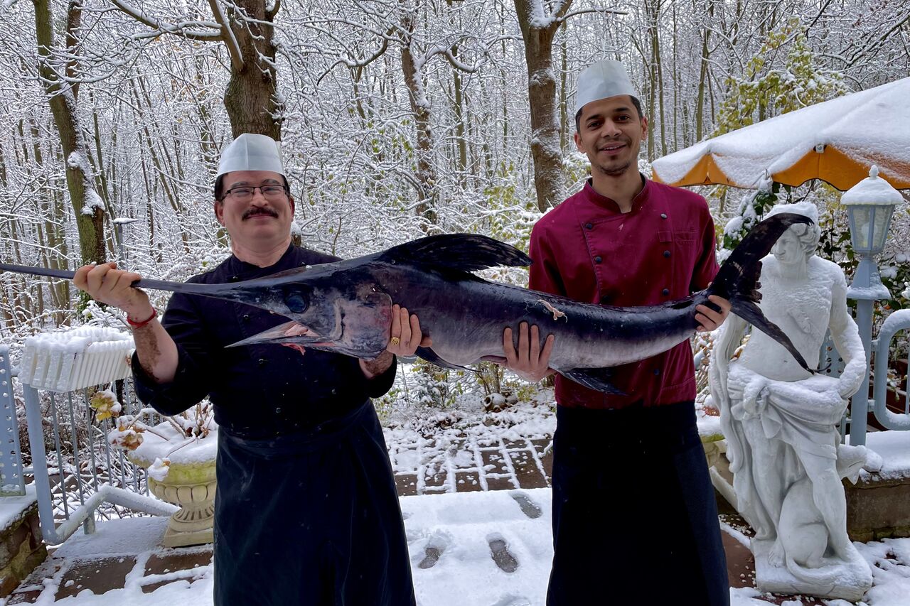 Fisch 🐟🐠🍤🎏 Tag