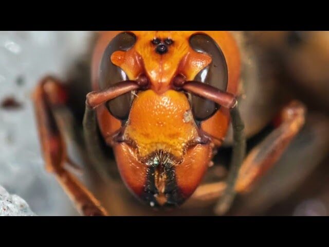 I don't know much, but....