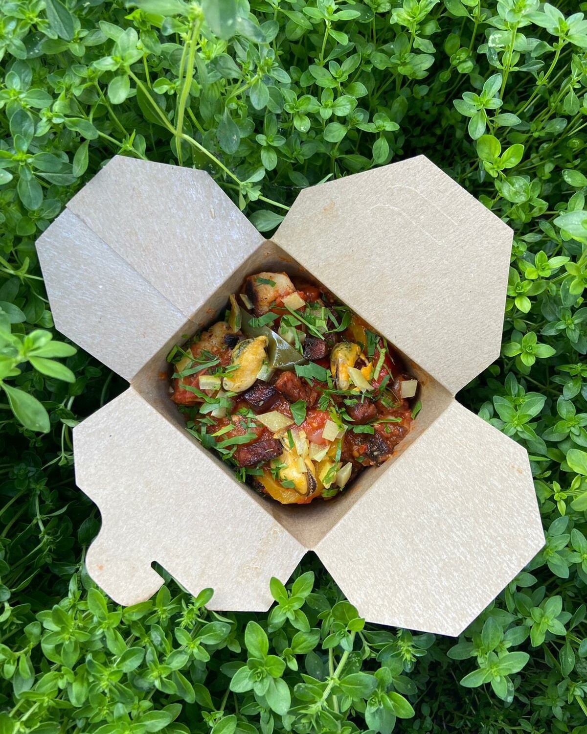 Knepfles Box Espagnole