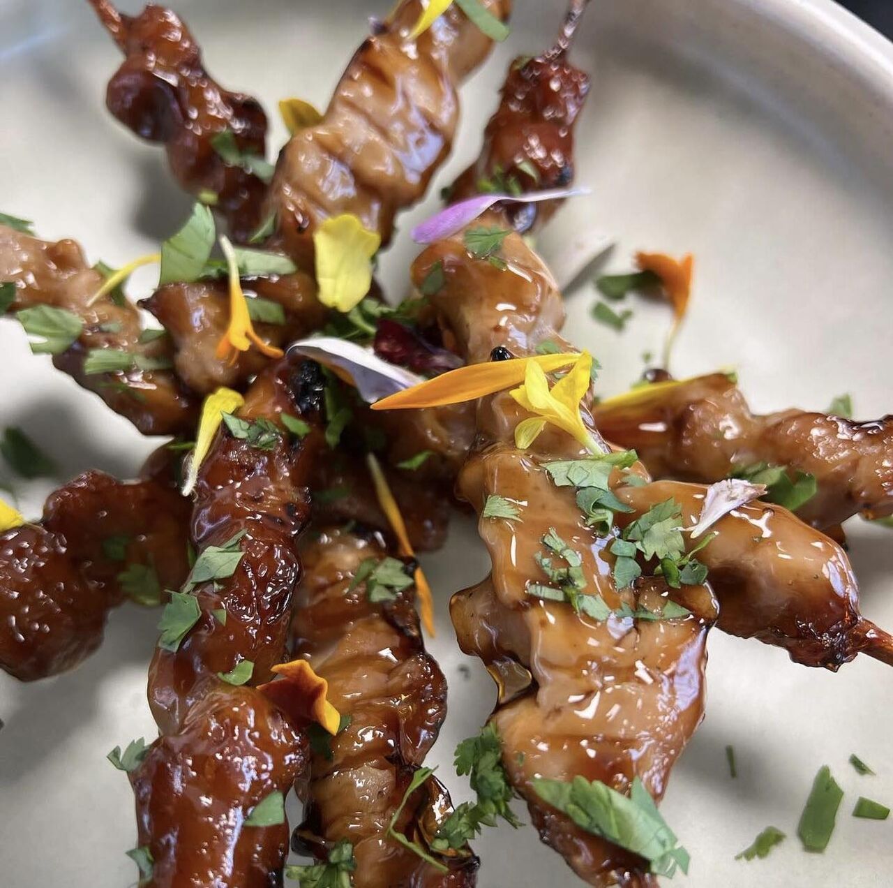 Brochettes de Poulet Yakitori