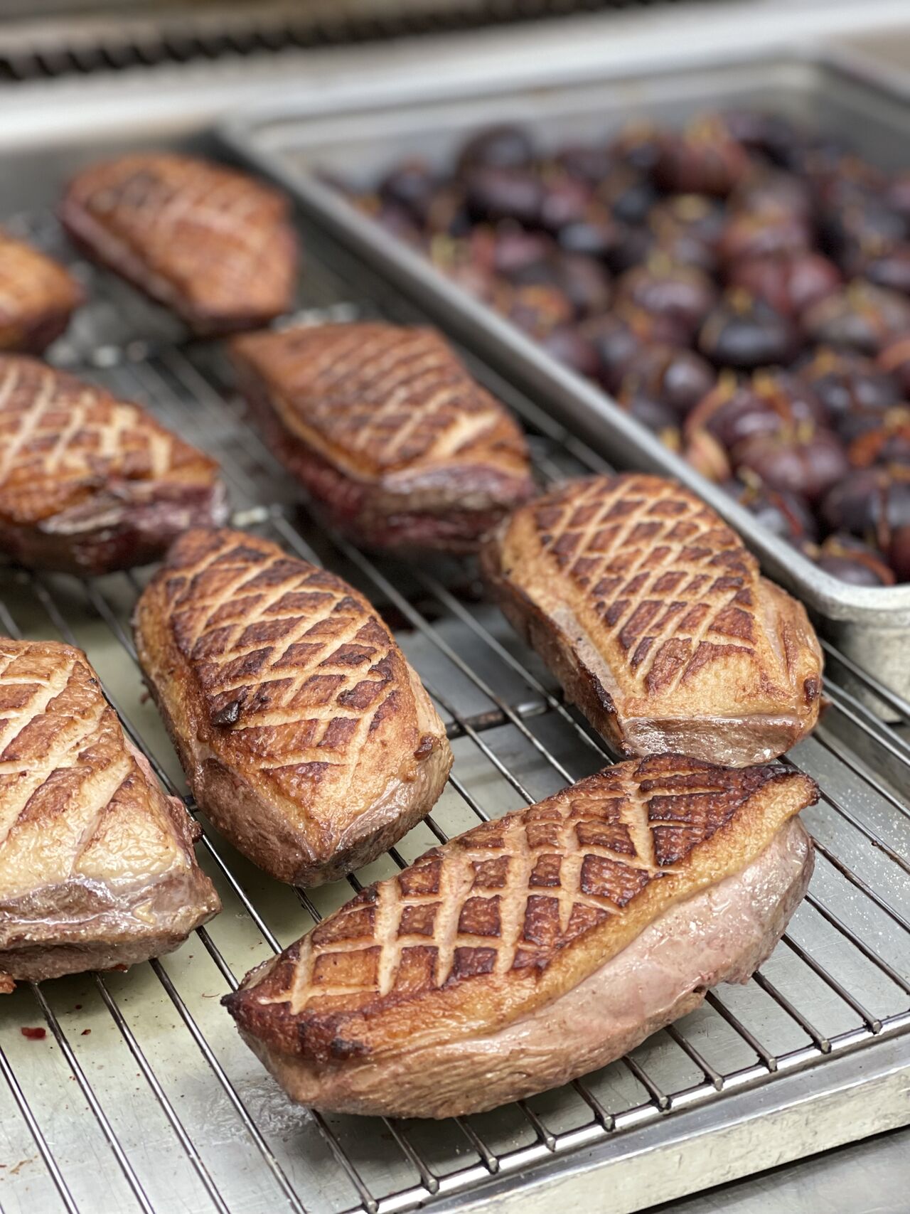 Magret de canard