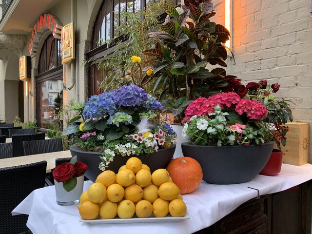 Terrasse am Mexikoplatz