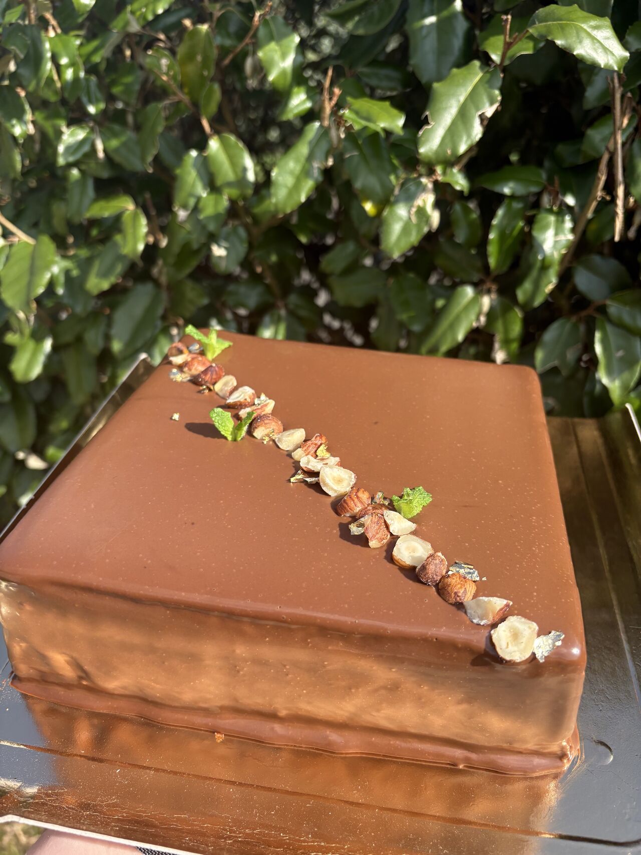 Entremet chocolat praliné à la fève de Tonka 🍫