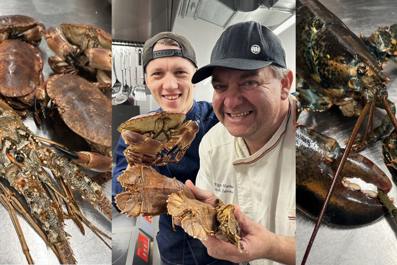 Przeniknij do Świata Morskich Cudów w Marino Bistrot!