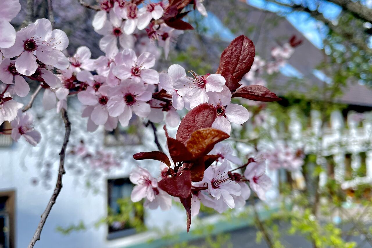 Urlaub 2025 - 2026 und Geschlossene Gesellschaften