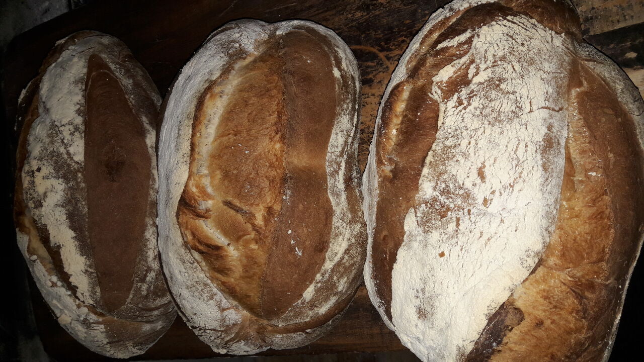 Pan Integral 100% de kilo