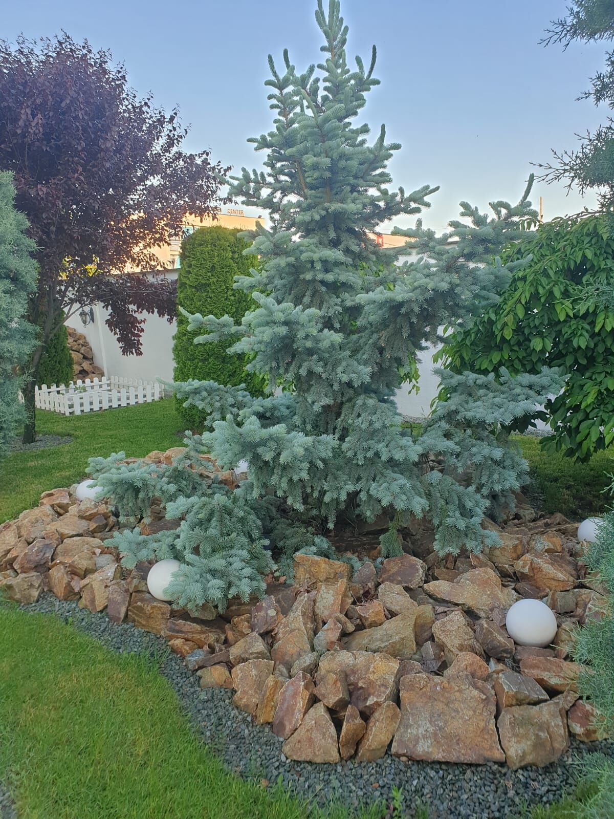 RESTAURANT WHITE HOUSE