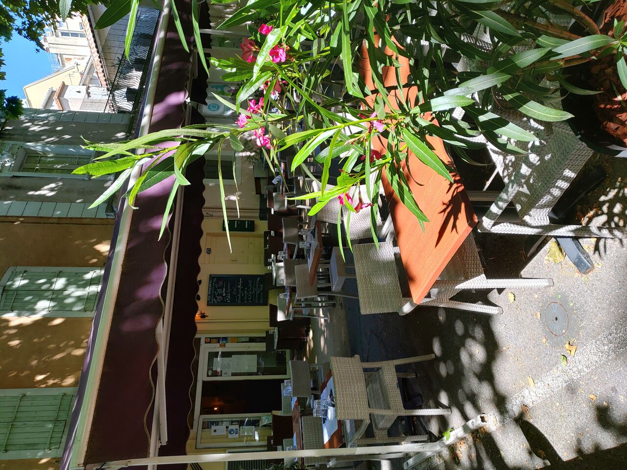 Terrasse ombragée