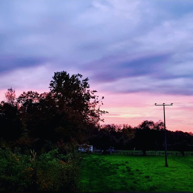 Morgenstund hat Gold im Mund 