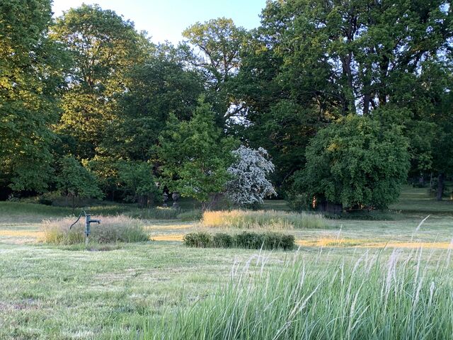 Südlicher Park - um 1850 im Stil eines englischen Landschaftsparks angelegt 
