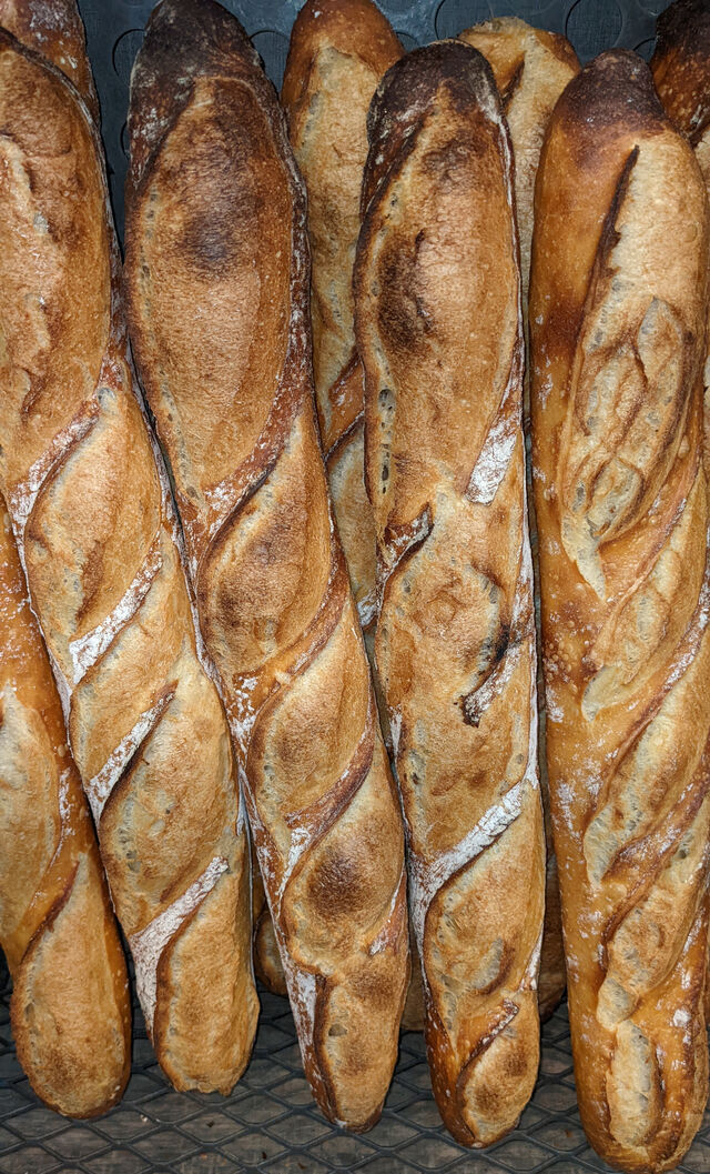 Historiquement, la Rétrodor est la 1ère baguette de tradition française, bien croustillante, une mie de couleur crème, un régal 