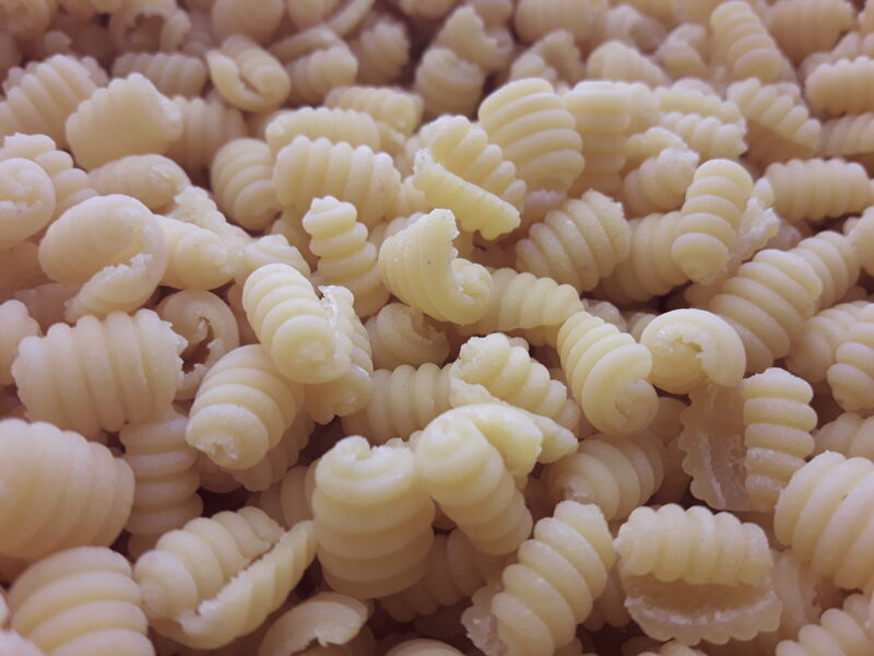 CICCIONETTUS FRESCHI O SECCHI