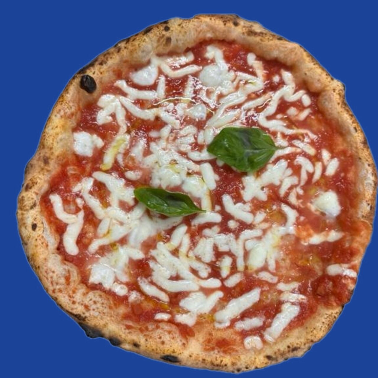 MARGHERITA