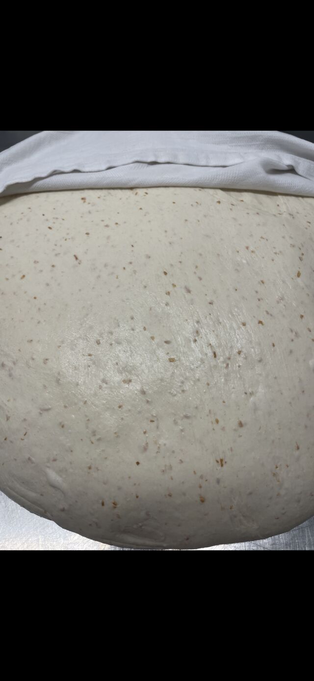 Ons heerlijke deeg, klaar om in bolletjes te veranderen 