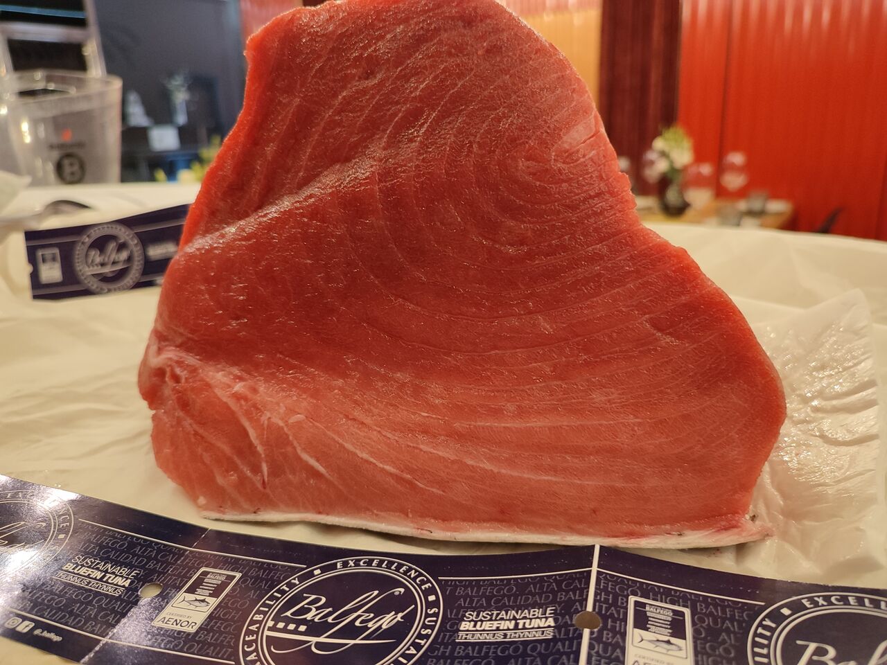 Atún rojo salvaje Balfego