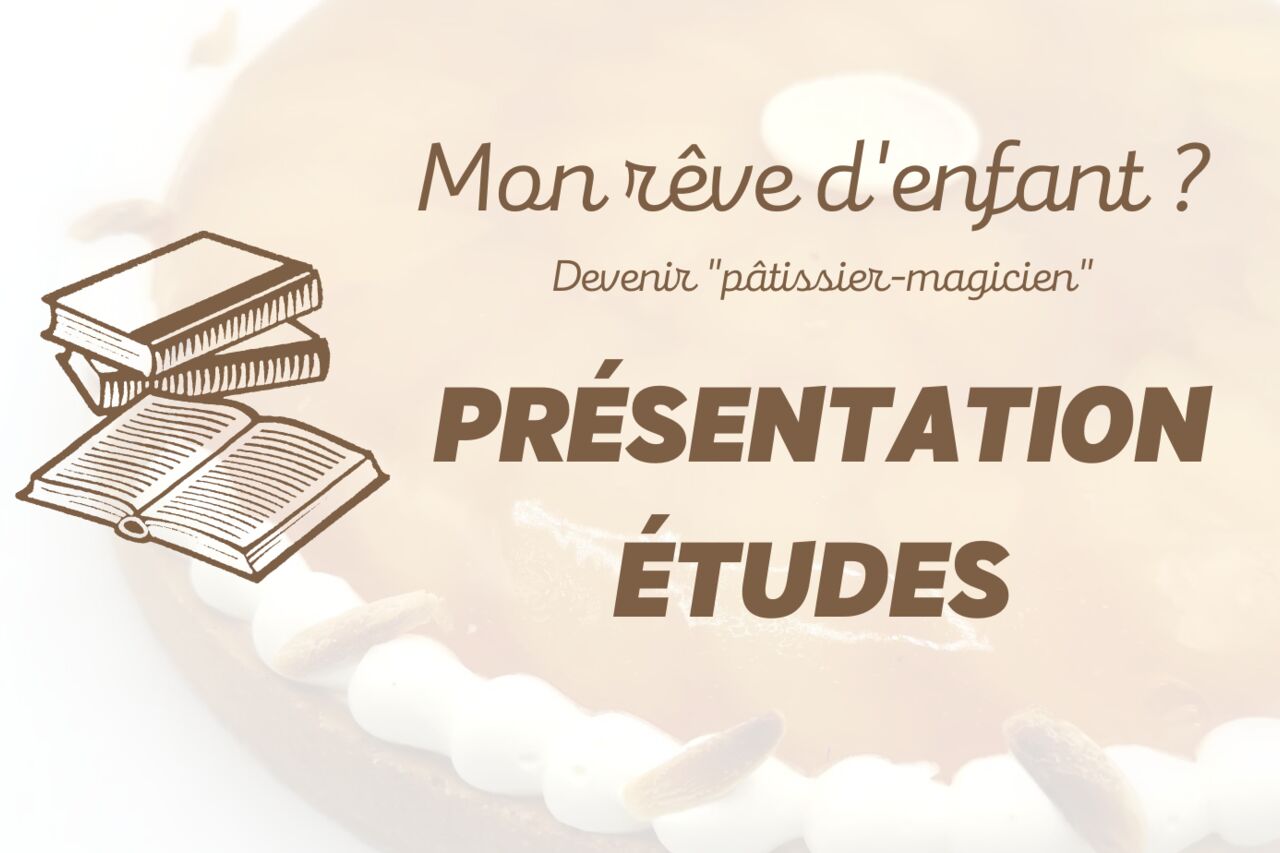 Parcours professionnel