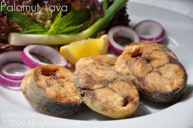 palamut tava