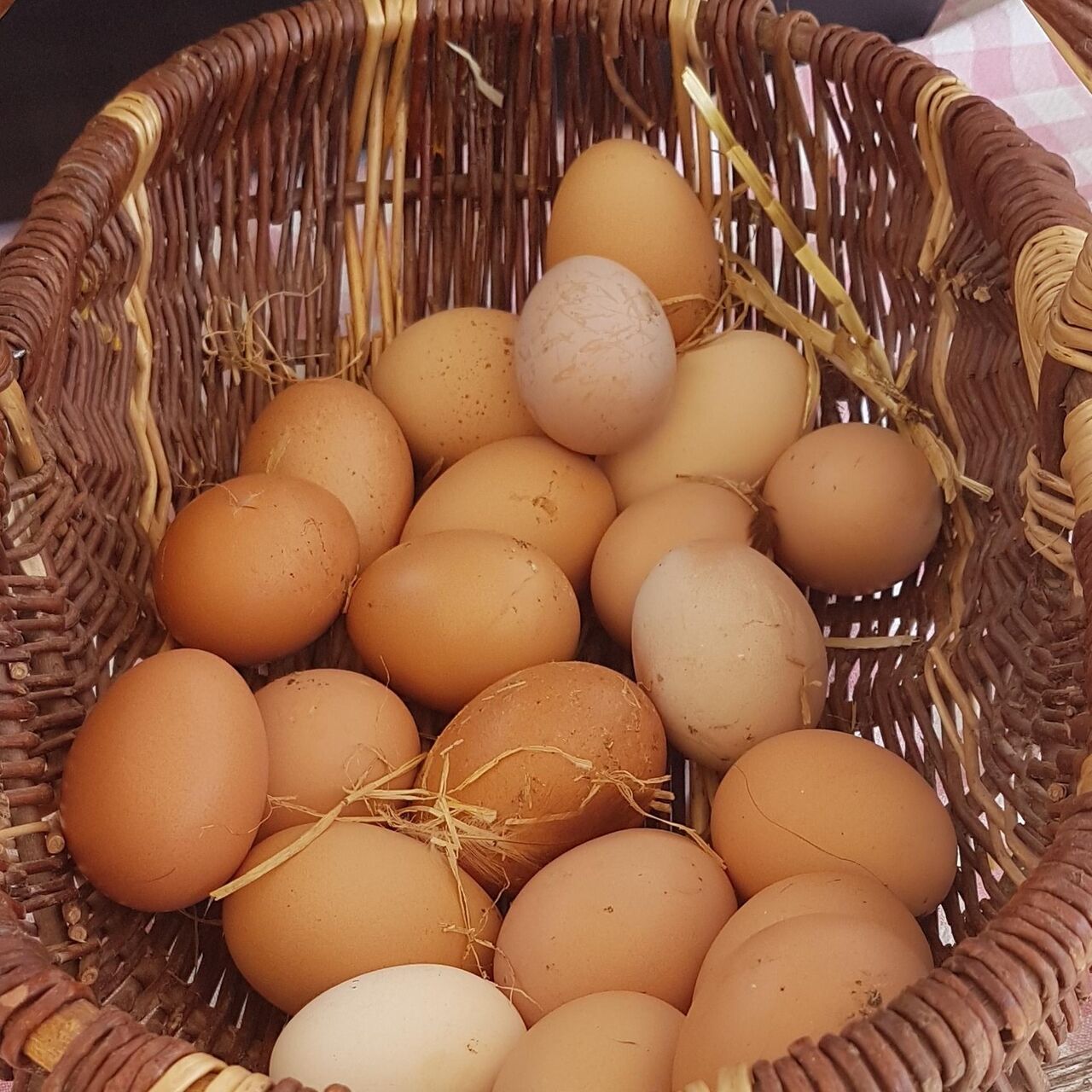 Œufs gros extra frais d'Alsace - 0,47€/pièce 