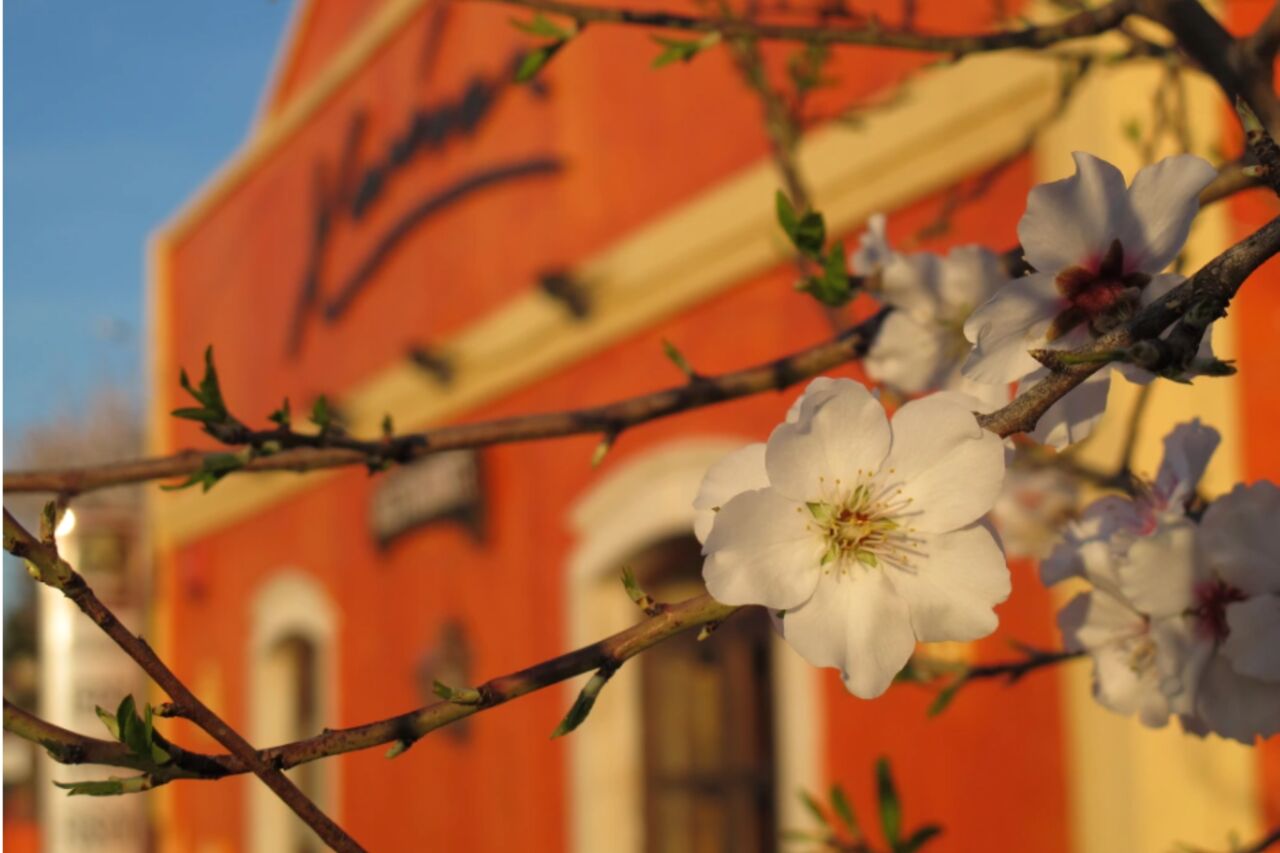 O Restaurante/The Restaurant