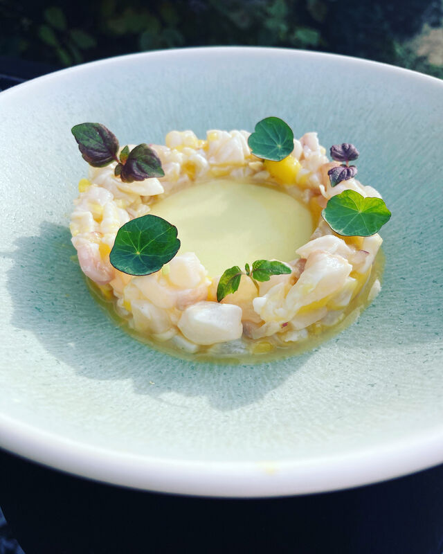 Ceviche daurade, vinaigrette aux pommes vertes, huile aux agrumes