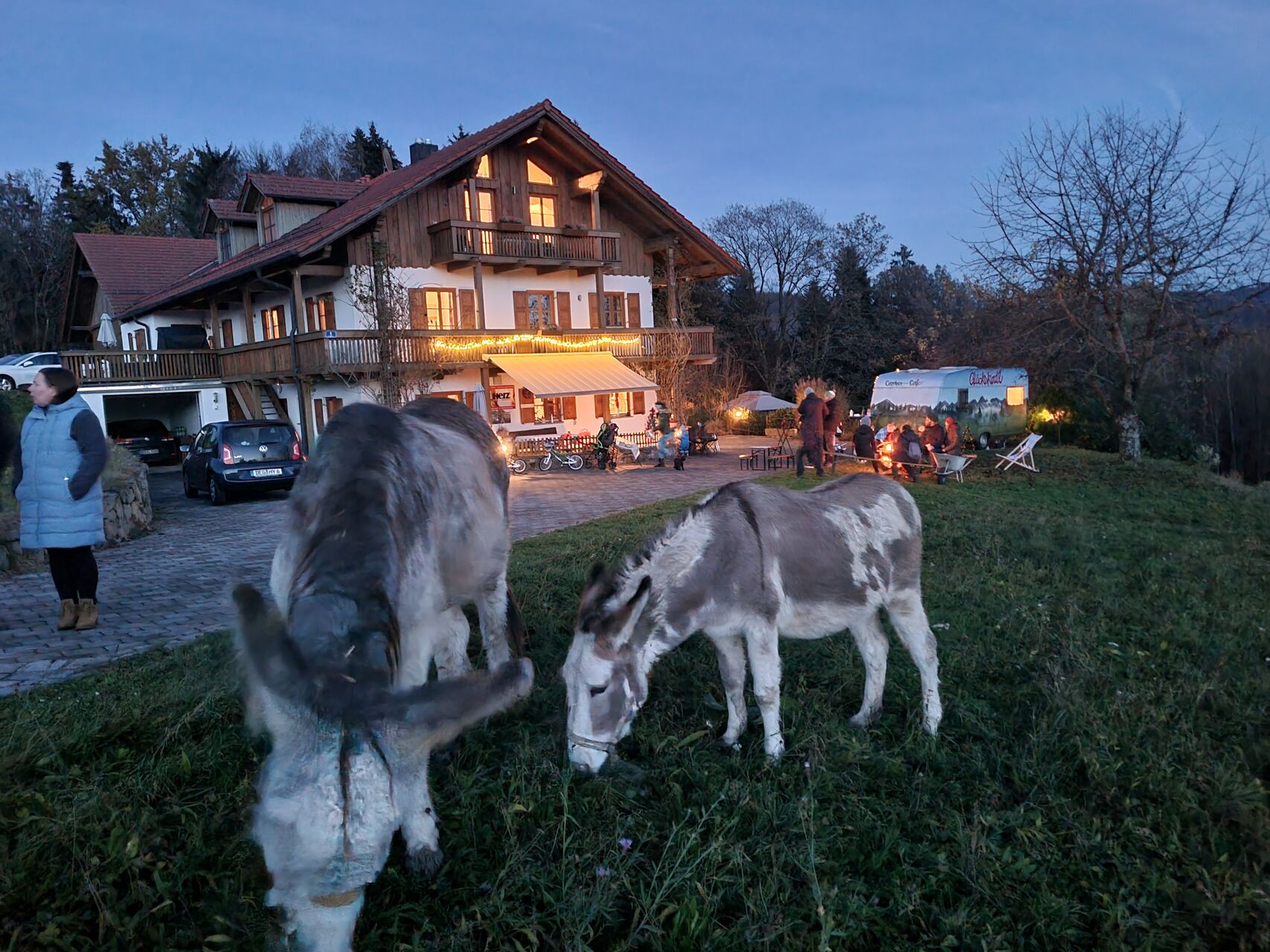 Hofcafé: Advents-Special