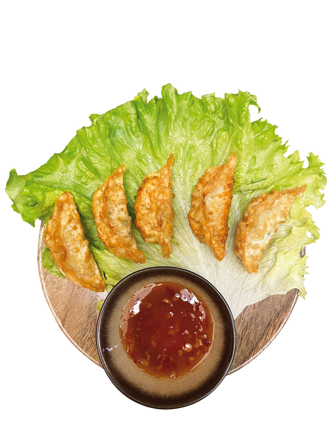 Gyoza aux poulet 
