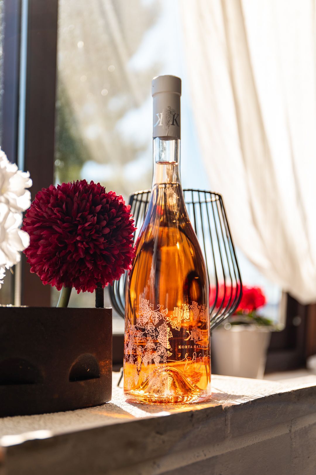 Bogata ponuda vrhunskih vina 