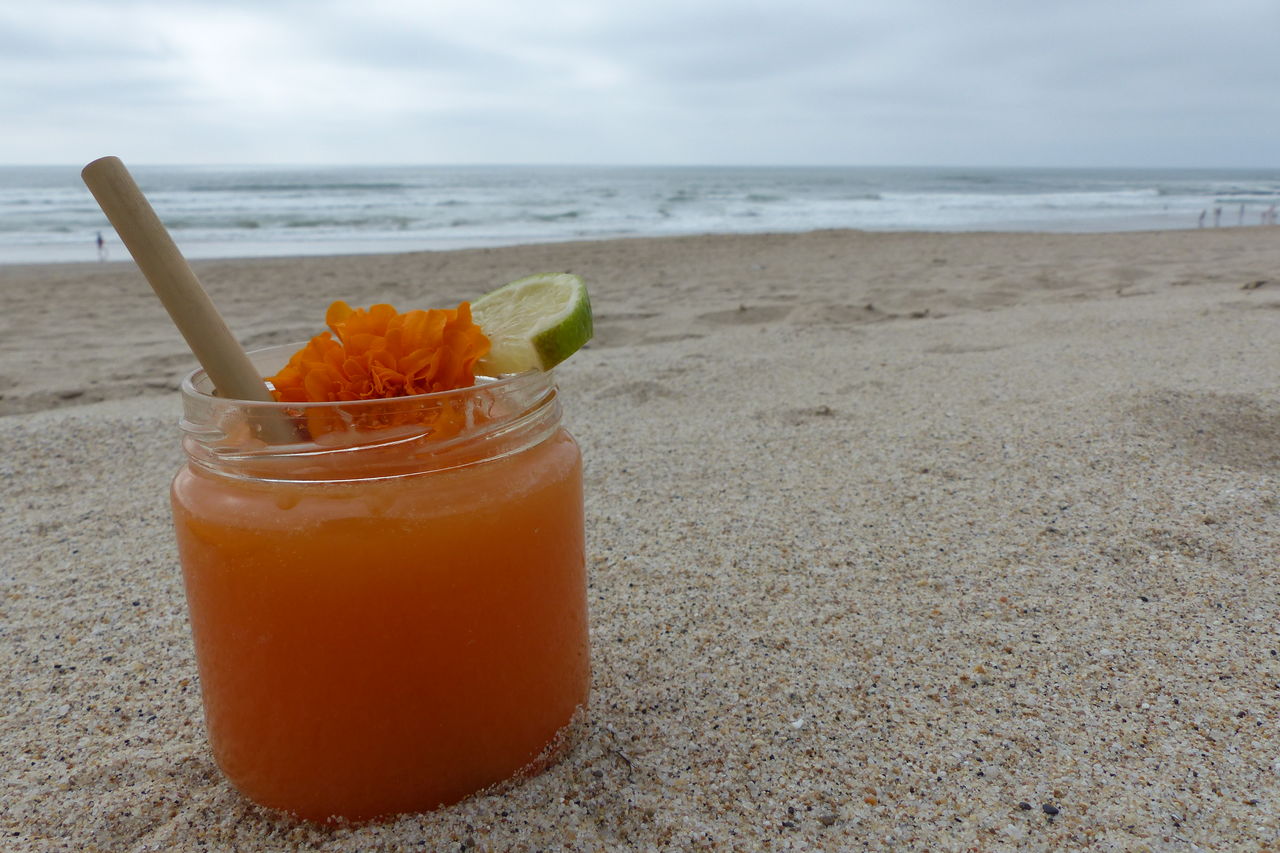 Notre démarche écologique