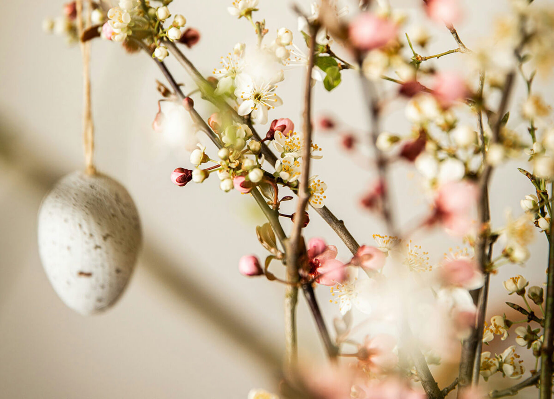 Menü für Ostersonntag & Ostermontag