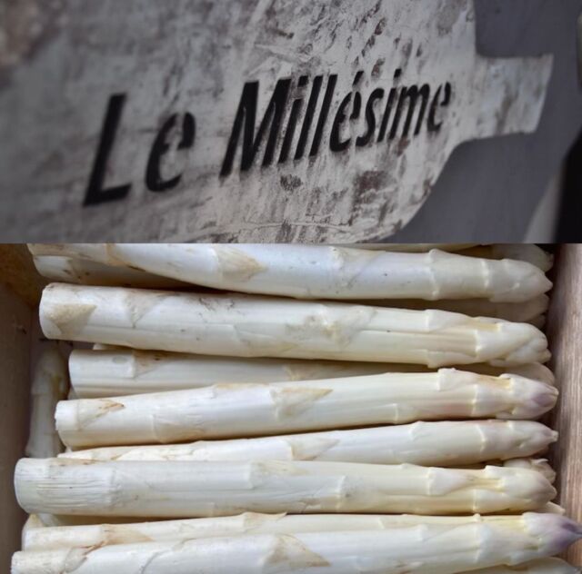 Asperges du Blayais
