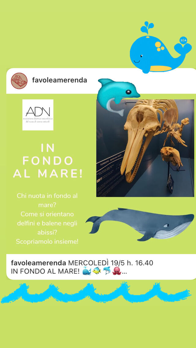 In fondo al mare!