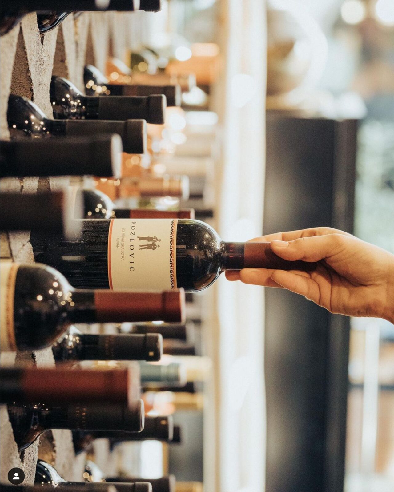 Discover Our Exquisite Wine Selection