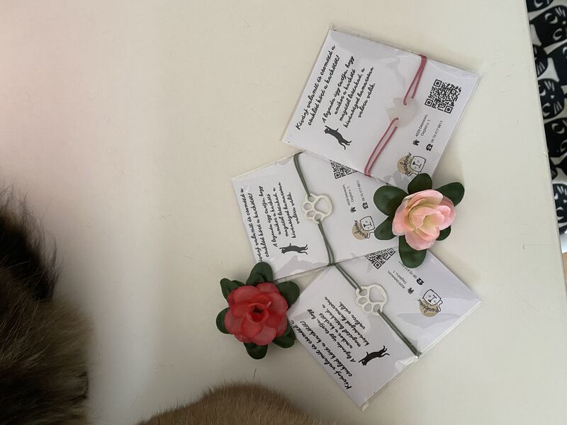 Kívánságkarkötők