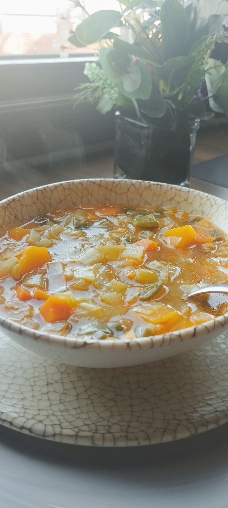 SOPA DE VERDURAS