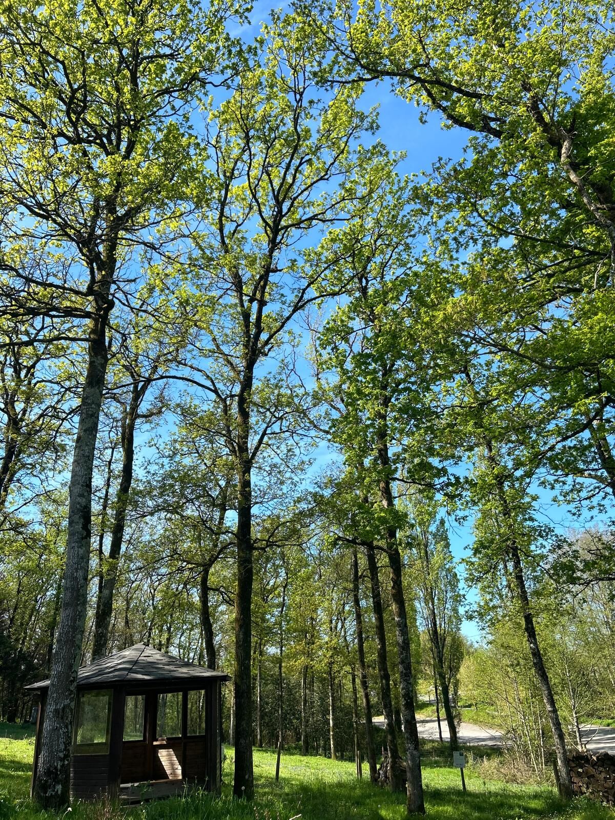 Bien caché, dépaysement