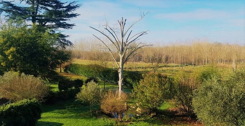 Les couleurs de l'hiver sur le jardin 