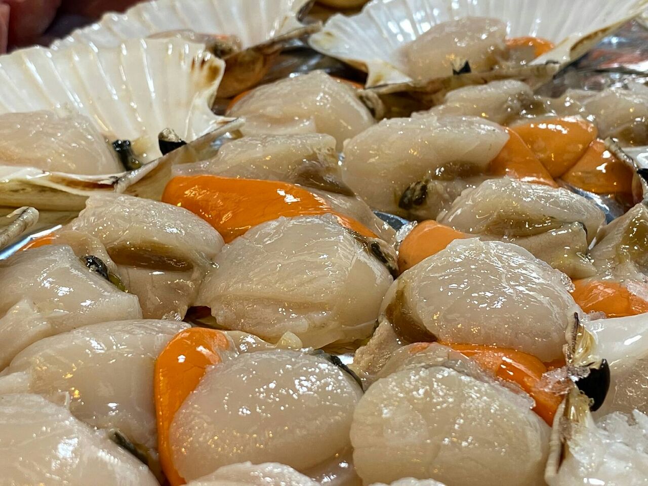 Noix de Saint-Jacques