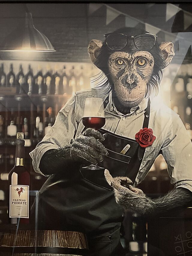 Le professionnel 😅