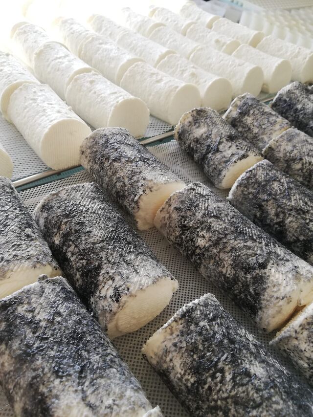 LES BUCHES CENDREES/NON CENDREES. MEDAILLE D'ARGENT 2022