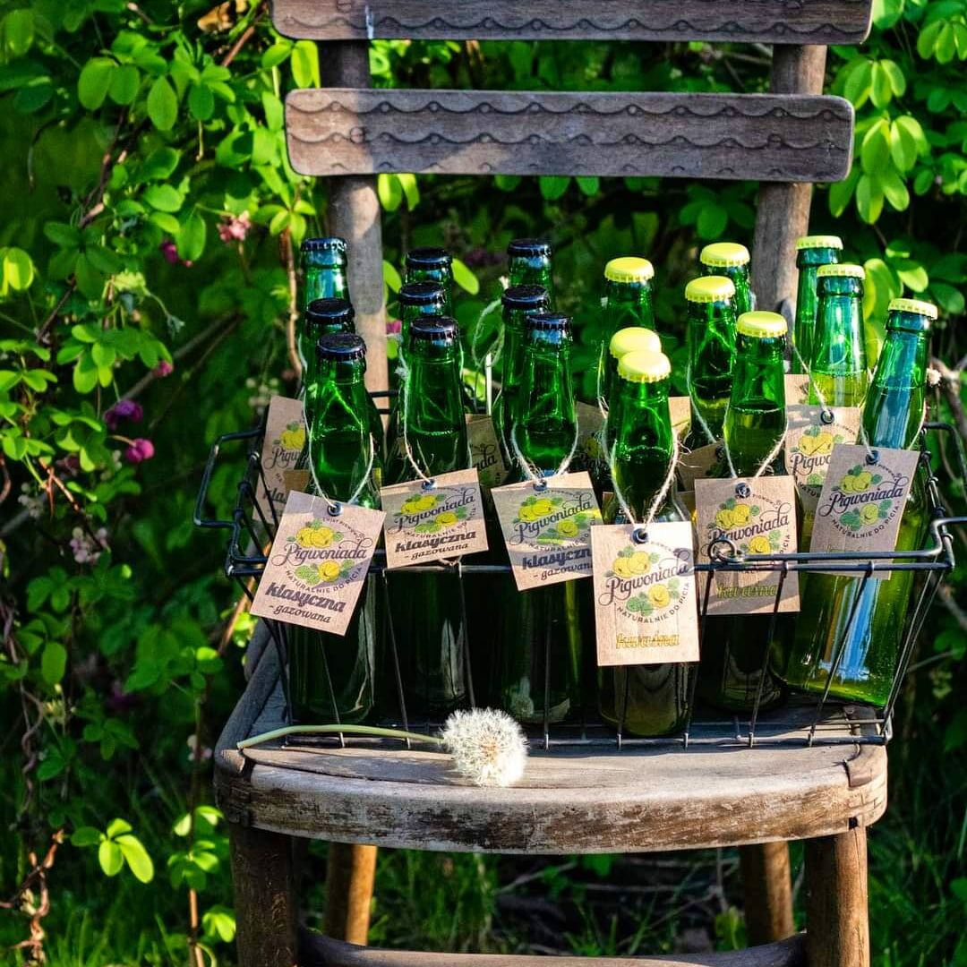 LEMONIADA BIO NA BAZIE OWOCÓW PIGWOWCA