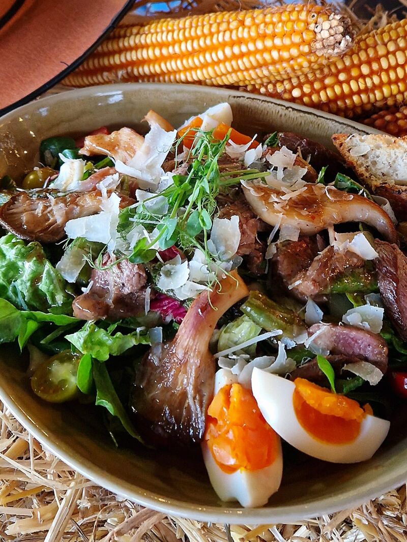 OLD BARN SALATA S BEEFSTEAKOM
