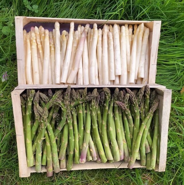 Ferme de la cacheterie - disponible selon la saison